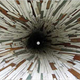 Image for article titled Texas House Sucked Into Wormhole